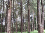 16185IMG_4943.JPG
