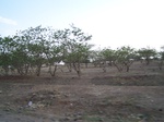 1771122042008(89).JPG