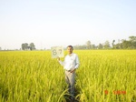 6615gt087-cropland-1.jpg