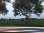 2017-09-12_03-30-00_4EAC0A92-C85A-47E1-B6D5-8330C0E12FF7.jpg
