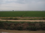 15726IMG_4809.JPG