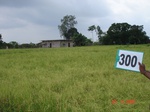130760300c-rainfed-agriculture-rice-doublecrop-wheat-greenpeas.gif
