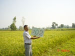 11297gt102-cropland-2.jpg
