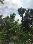 2017-09-12_13-21-57_9366C224-7615-4CE7-8745-1058D98DA5FC.jpg