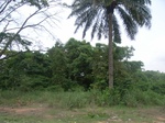3749RIMG0053.JPG