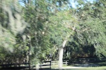 2018-04-30_12-12-45_2017-10-25 14.47.22.jpg