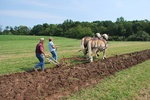 2012-09-28_22-29-14_Howell Farm-5.JPG
