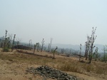 1729320042008(76).JPG