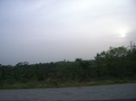 4082RIMG0387.JPG