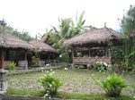 16386IMG_5170.JPG