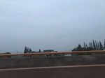 2017-09-12_03-29-43_61701181-B6D2-4FD7-BFB5-411860E88E12.jpg