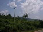 8946RIMG0020.JPG
