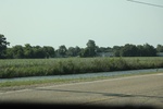 2022-06-11_17-48-53_2107E904-FE19-43D4-BFAA-42BD38397A44.jpeg