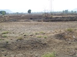 505920042008(107).JPG