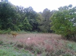 2012-09-08_00-04-54_MO-WT-1.jpg