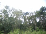 8951RIMG0025.JPG