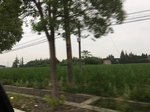2017-09-12_10-31-36_CAFA9539-764D-4E87-8C50-D6226F81A678.jpg