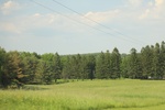 2022-06-11_16-04-20_FF6DEB6E-2F25-4AF6-8485-08DA07BFA57E.jpeg
