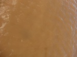 2012-09-21_14-25-31_CIMG3221.JPG