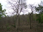 481102052008(11).JPG