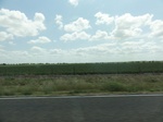 35649DSC02151.JPG