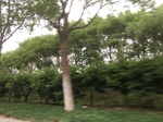 2017-09-12_05-00-33_B545D75E-E328-4028-82C2-40BDDEA46662.jpg