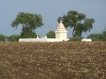 539102052008(104).JPG