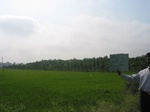 7768gt022b-cropland-irrigated-rice-plantations-mosaic.jpg