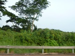 19853P1010703.JPG