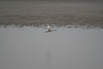 4145IMG_8782.JPG