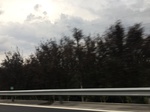 2017-09-02_05-56-05_E912B779-8BB5-46EC-8158-909E4576A3D8.jpg