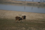 4183IMG_8821.JPG