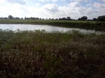 2012-09-03_20-32-43_IMG128.jpeg