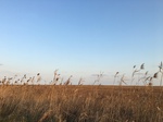 2018-01-08_09-58-51_0F36A84F-1EDF-465F-8F9F-9B9ED23E9810.jpg