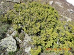 2012-09-27_14-25-41_169.JPG