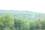 2022-06-11_17-48-27_C2B6CD6D-EA24-4A09-8F81-333825E77987.jpeg