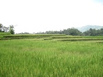 13755IMG_4016.JPG
