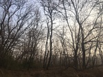 2018-01-08_09-58-58_89DCCB29-23FA-4013-B33B-8FA59D0B3714.jpg