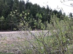 2018-05-27_14-20-01_B738D886-D710-4000-8933-5D94CB3EBAAC.jpg