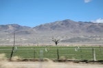 2018-05-31_16-38-15_2018-03-23 13.03.10.jpg
