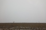 2019-10-16_12-33-53_4E8A4279.JPG