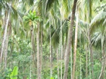 1694510052008(13).JPG