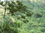 17530100_2791.JPG