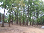 17453100_2141.JPG