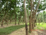 2012-09-26_20-48-20_CIMG0965.JPG