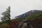 2018-04-14_14-51-54_2017-06-27 02.45.42.jpg