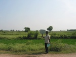 9842gt0130b-cultivated-irrigated-minor-tank-rice.gif
