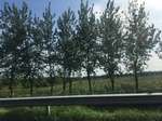 2017-09-12_14-14-12_3B51DFEC-137D-4080-83F5-24168322888B.jpg