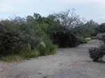 2012-09-28_22-29-18_AZ-PM-31.JPG