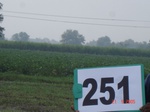 72290251c-irrigated-rainfed-agriculture-groundwater-sugarcane-dominant-cotton.jpg